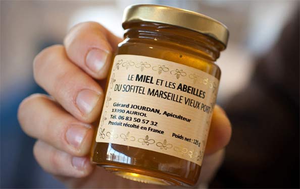 Miel récolté sur les ruches du toit du Sofitel à Marseille