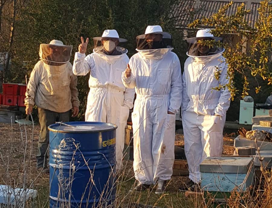 Stage de formation à l'apiculture