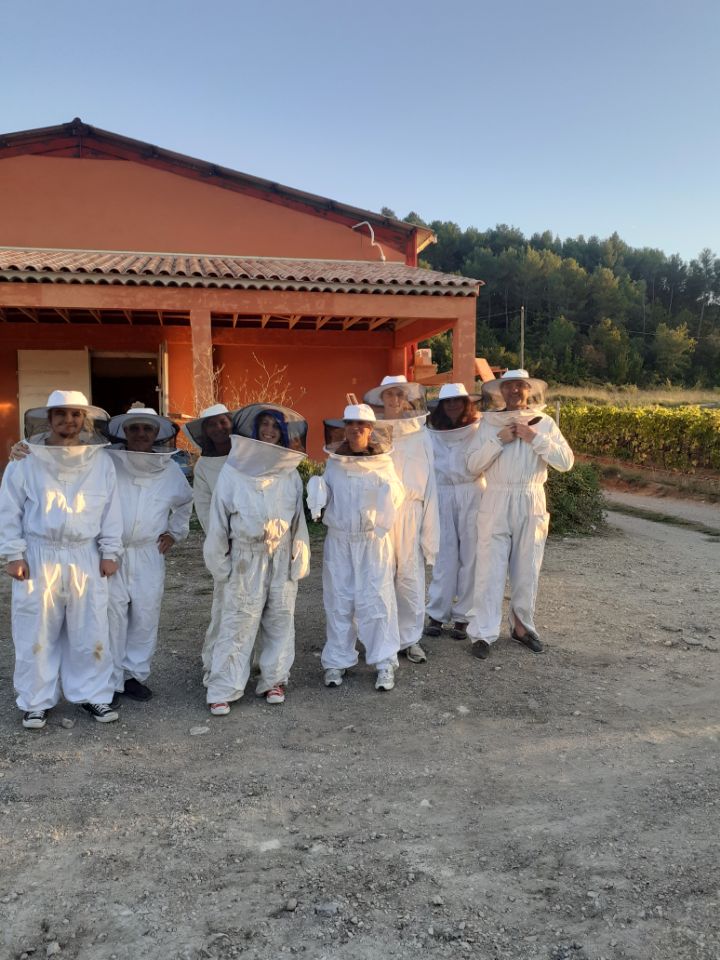 Stage initiation à l'apiculture 2023